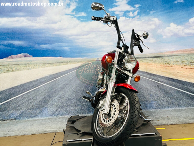 DragStar 1100 2000 8009