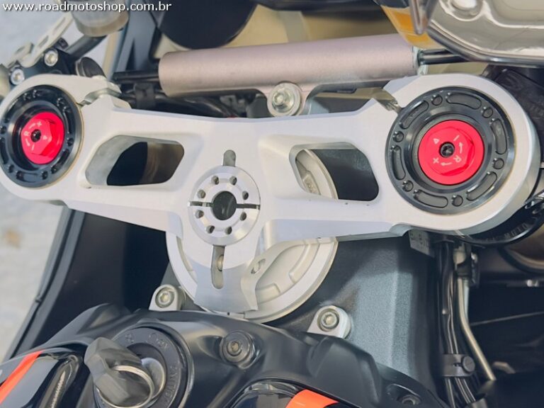 Panigale 80018