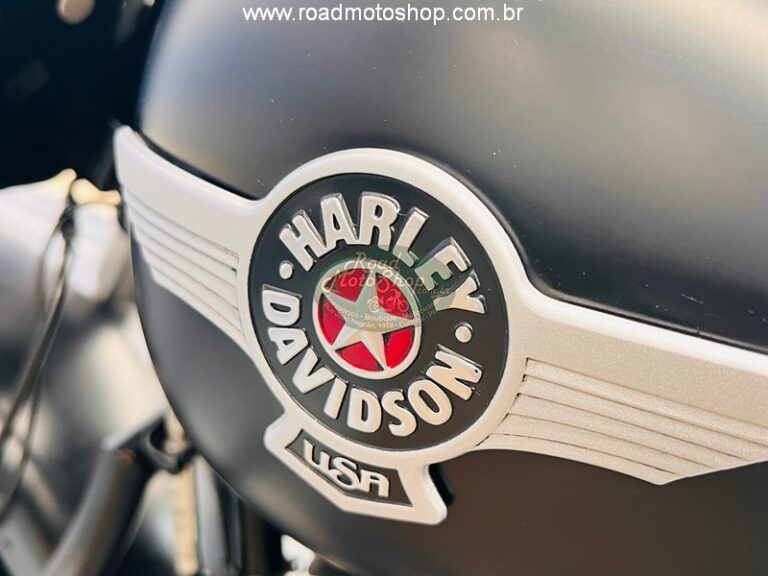 FAT BOY 2017 OGE _20