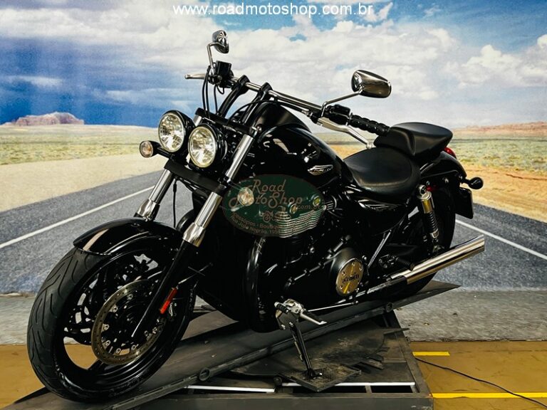 THUNDERBIRD PRETA 2013_10