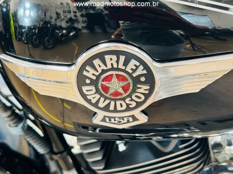 Fat boy brilhante 2013_14