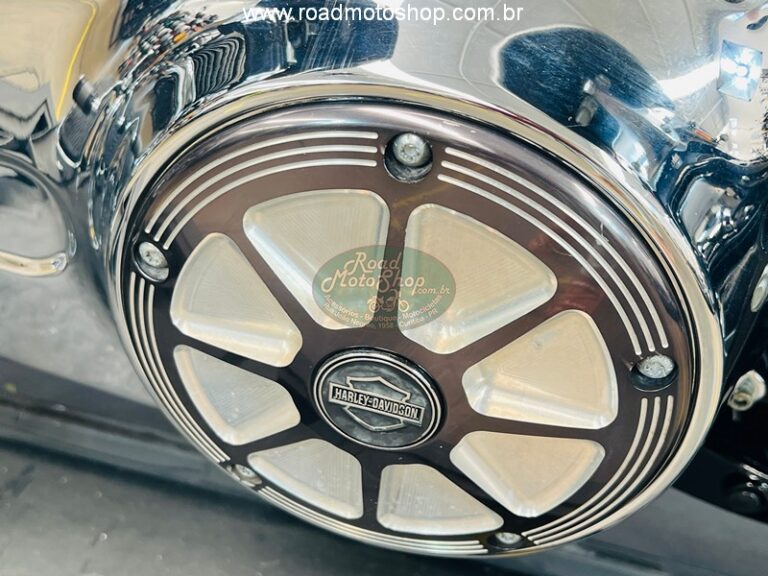 Fat boy brilhante 2013_15