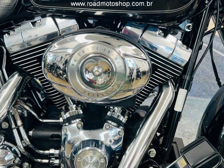 Fat boy brilhante 2013_2