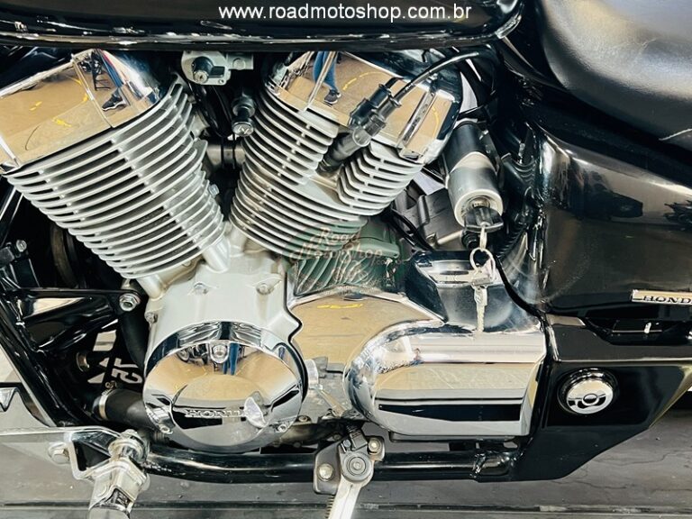 Shadow 750 2006 Michel_12