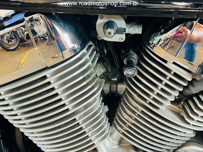 Shadow 750 2006 Michel_14