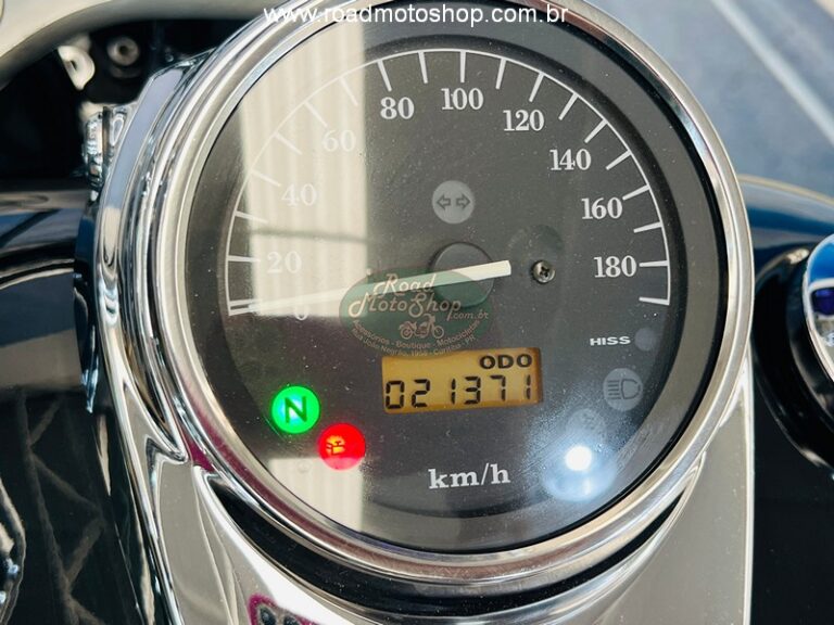 Shadow 750 2006 Michel_19