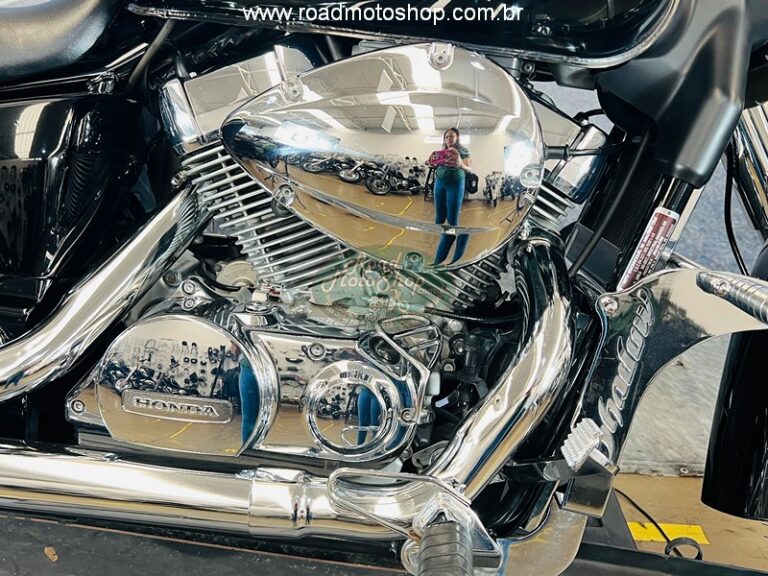 Shadow 750 2006 Michel_2