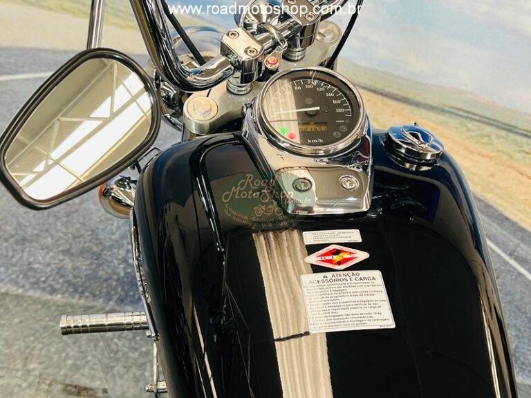 Shadow 750 2006 Michel_20