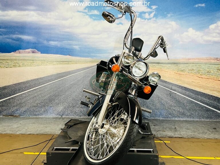 Shadow 750 2006 Michel_7