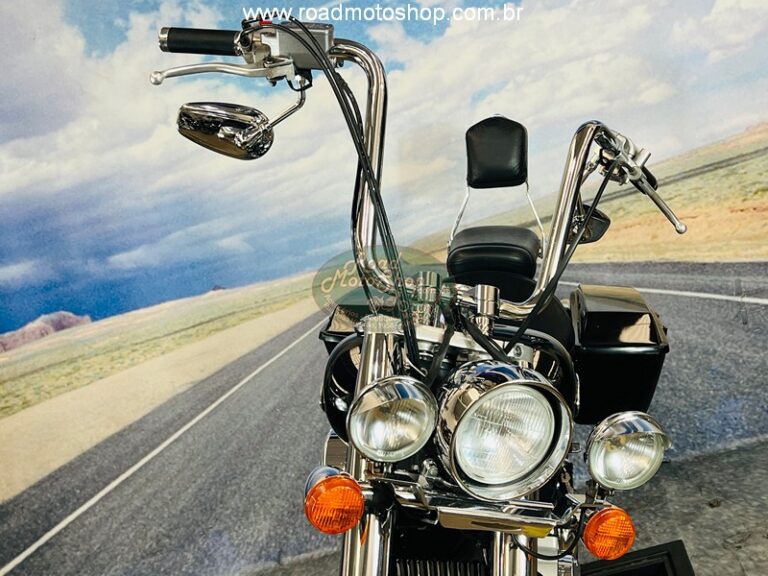 Shadow 750 2006 Michel_8