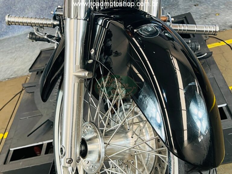 Shadow 750 2006 Michel_9