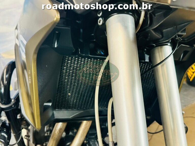 f800 GS 2013 Marrom 80020