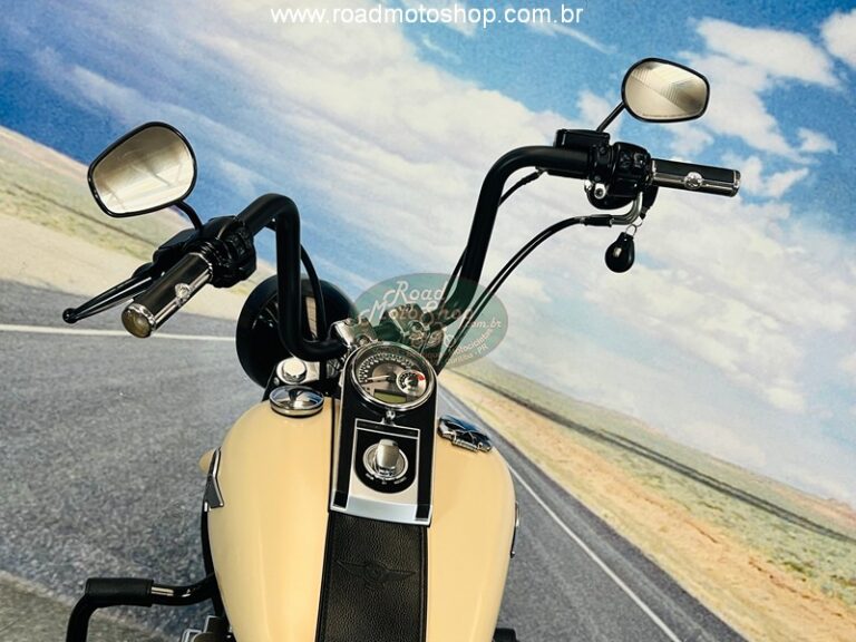 FAT BOY BEGE 2015_12