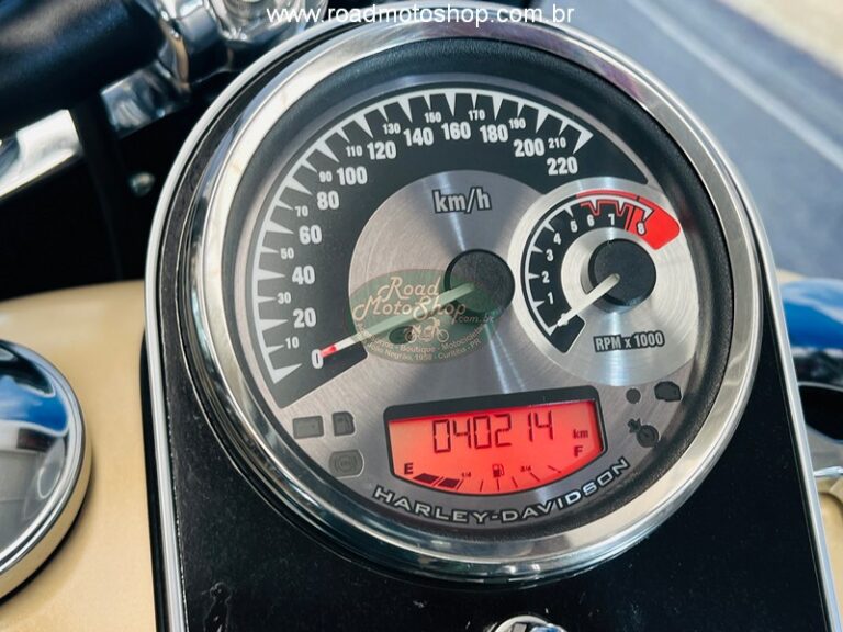 FAT BOY BEGE 2015_13