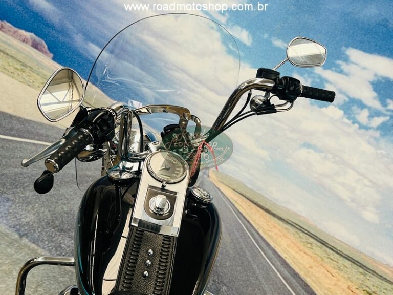 Fat Boy 2010 Brilhante _13