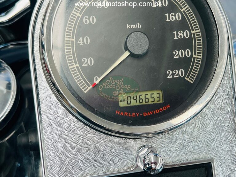 Fat Boy 2010 Brilhante _14