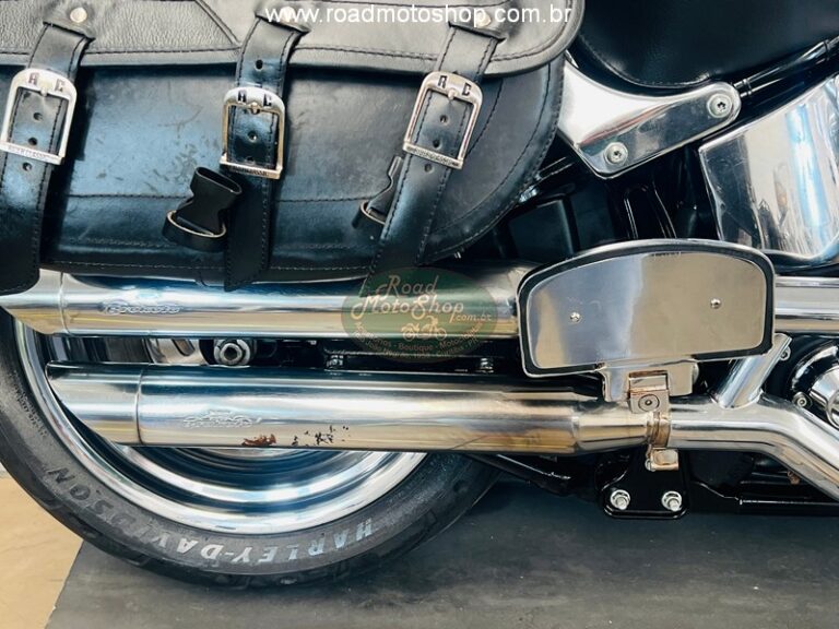 Fat Boy 2010 Brilhante _17