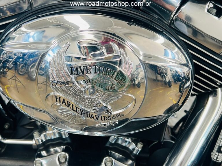 Fat Boy 2010 Brilhante _18