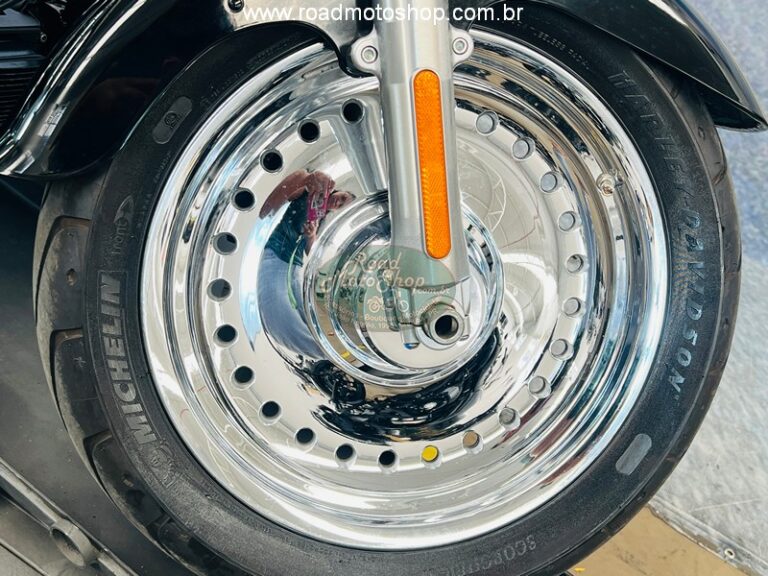 Fat Boy 2010 Brilhante _19