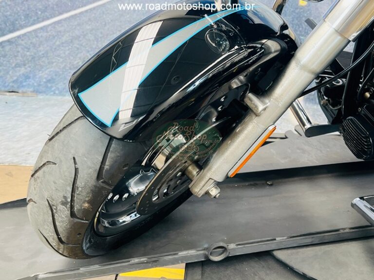 Fat Boy 2010 Brilhante _2