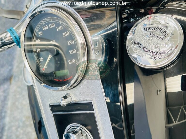 Fat Boy 2010 Brilhante _20