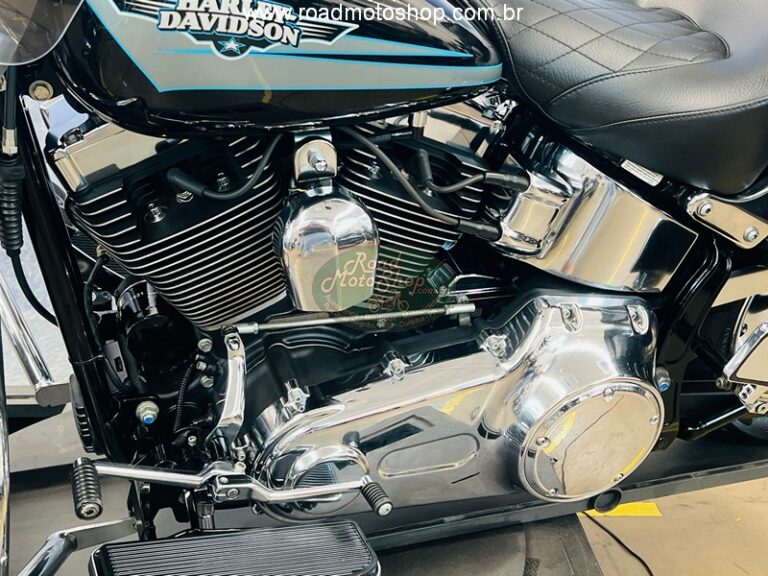 Fat Boy 2010 Brilhante _4