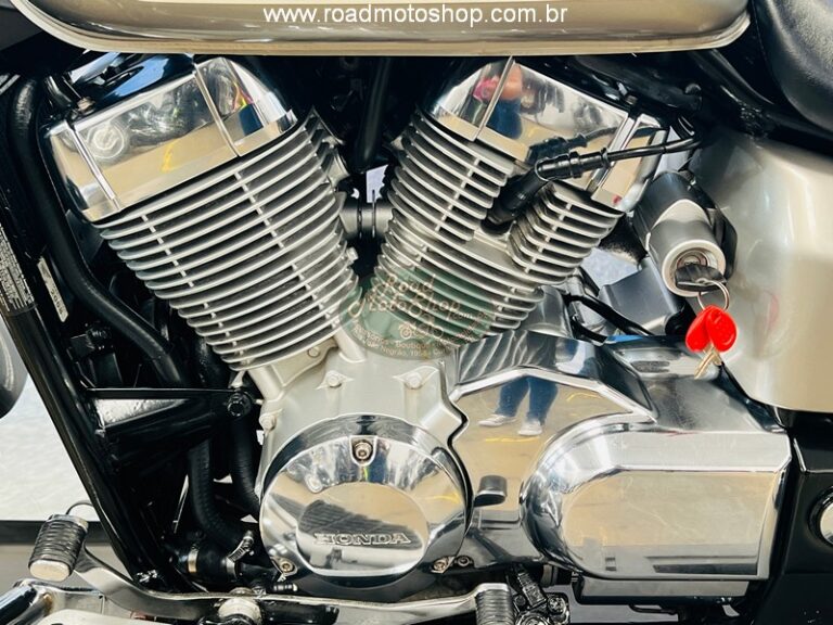 Shadow 750 2009 Renato_11