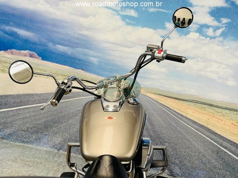 Shadow 750 2009 Renato_17