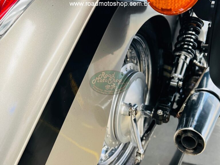 Shadow 750 2009 Renato_20