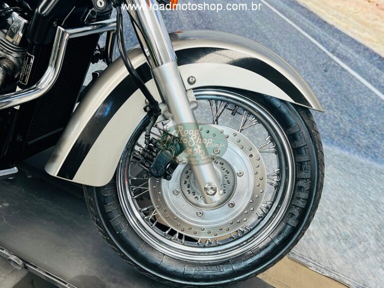 Shadow 750 2009 Renato_3