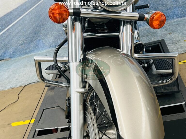 Shadow 750 2009 Renato_7