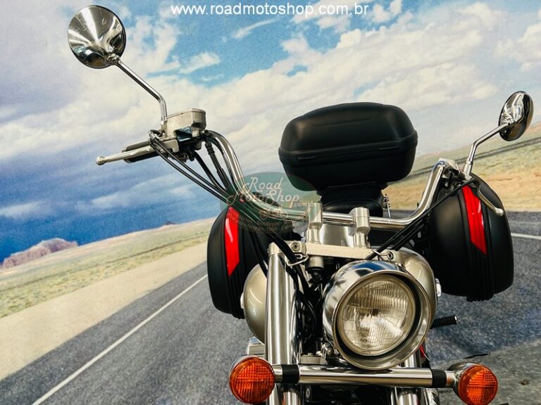 Shadow 750 2009 Renato_8