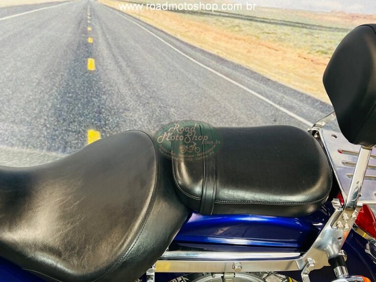 Shadow 750 Roxa Andre_13