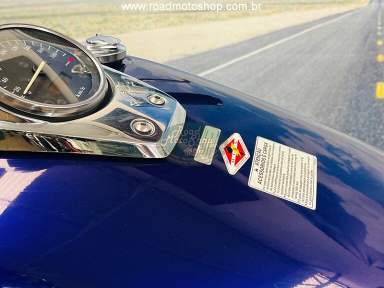 Shadow 750 Roxa Andre_15