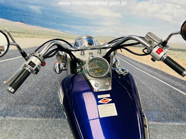 Shadow 750 Roxa Andre_19