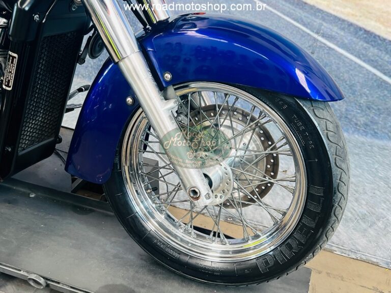 Shadow 750 Roxa Andre_3