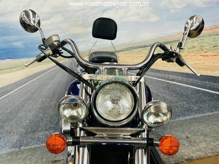 Shadow 750 Roxa Andre_8