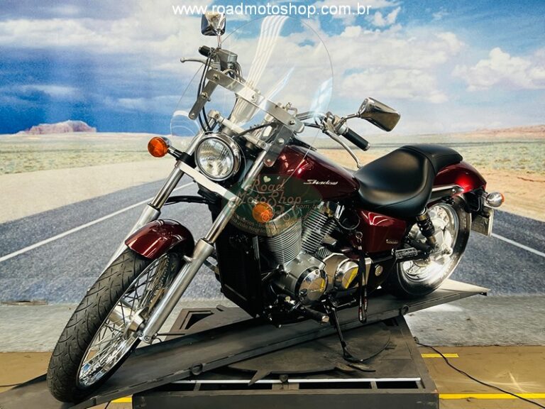 Shadow 750 Telma _10
