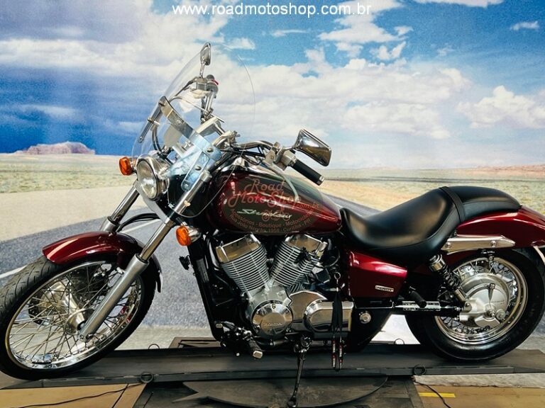 Shadow 750 Telma _11