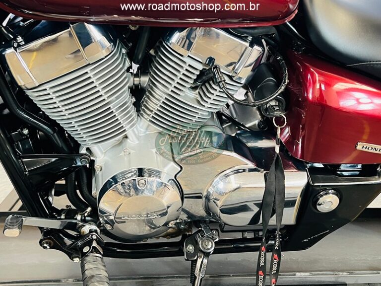 Shadow 750 Telma _12