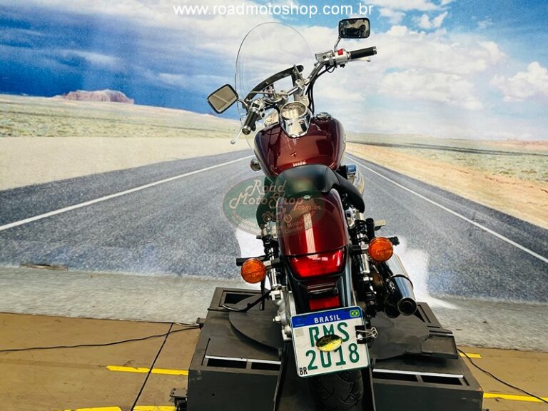 Shadow 750 Telma _16