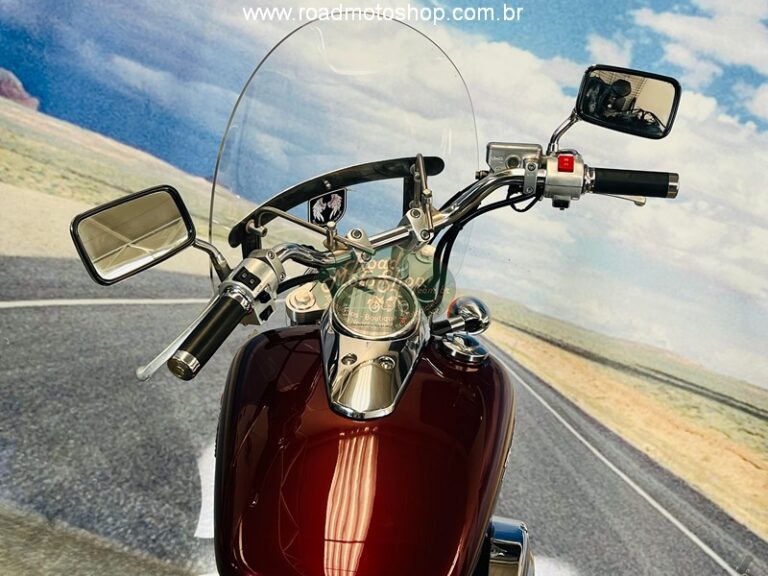 Shadow 750 Telma _17