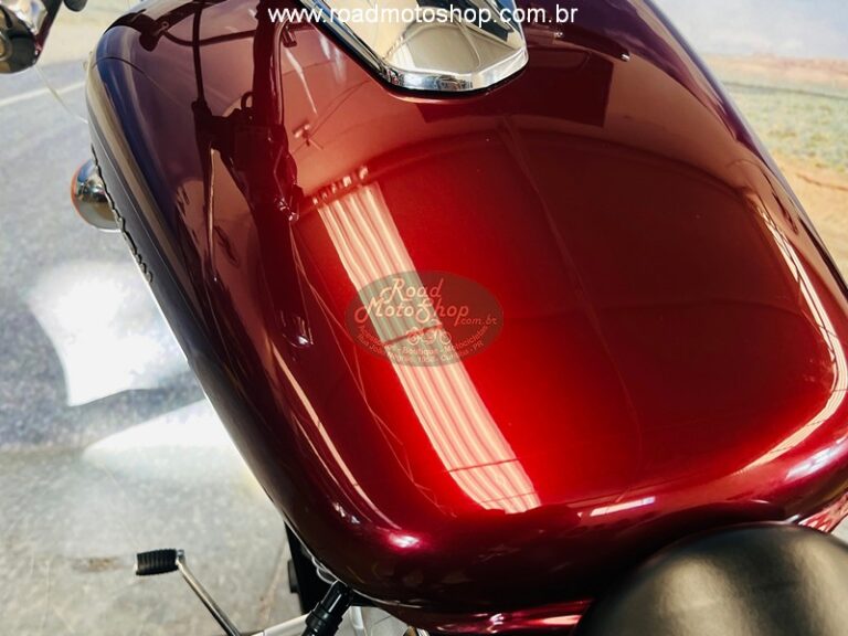 Shadow 750 Telma _19