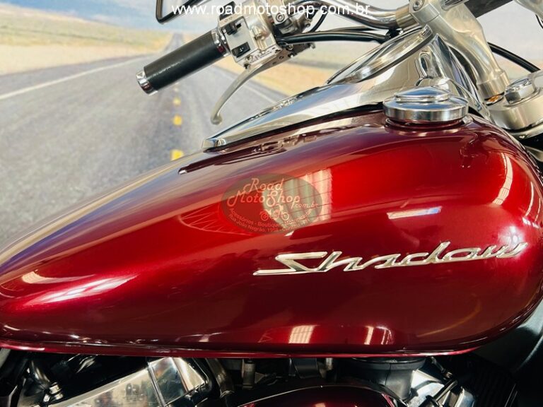 Shadow 750 Telma _3