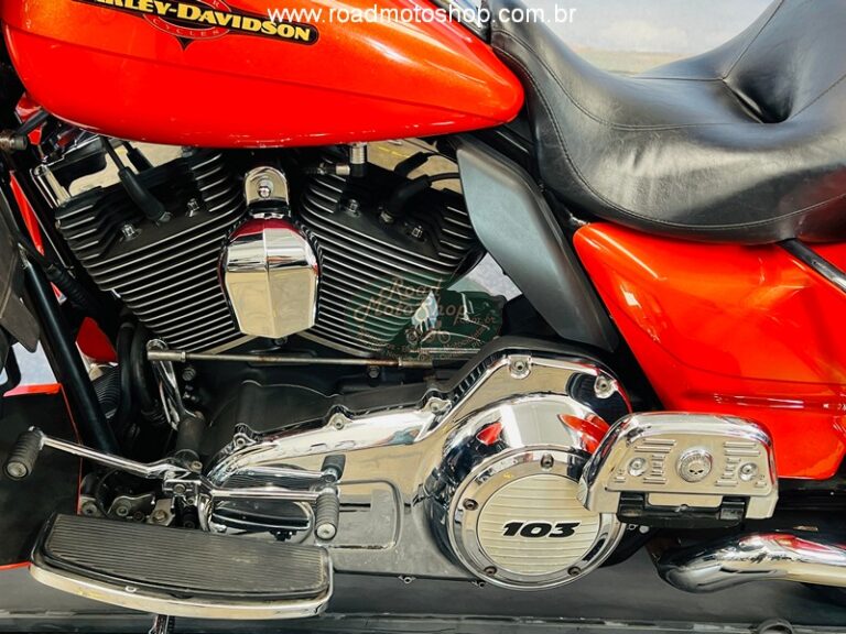 Ultra laranja 2012_5