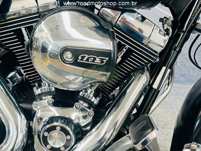 STREET GLIDE Fosca 2014_19