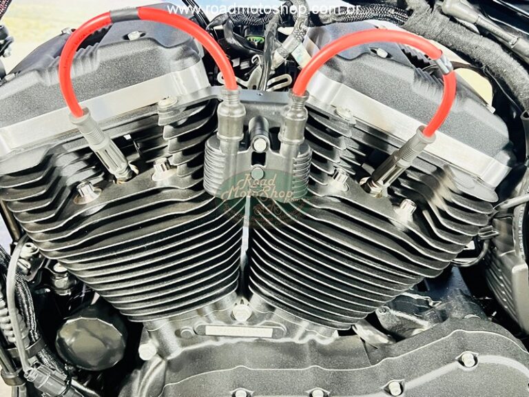 883 2014 AXEL _2