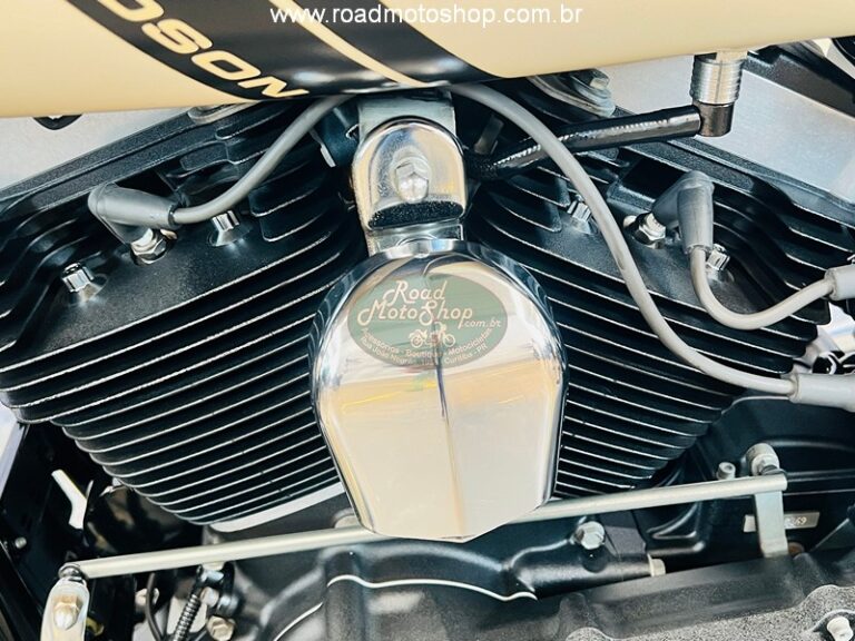 FAT BOB BEGE 2015_15