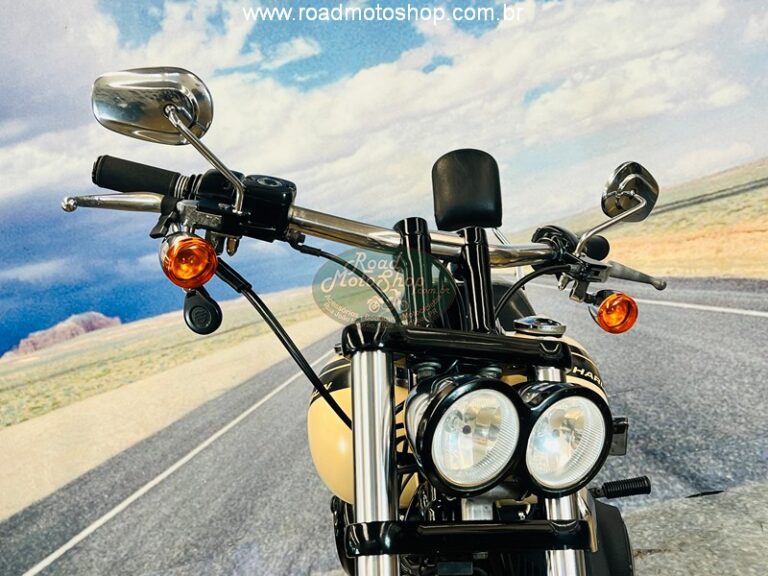 FAT BOB BEGE 2015_9
