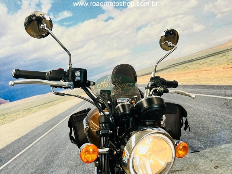 METEOR 350 MARRON_9